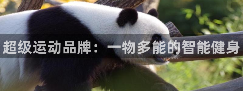 德国凯捷体育集团：超级运动品牌：一物多能的智能健身