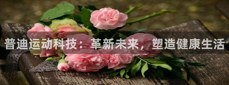 凯捷体育平台假的吗是真的吗：普迪运动科技：革新未来，塑造健康