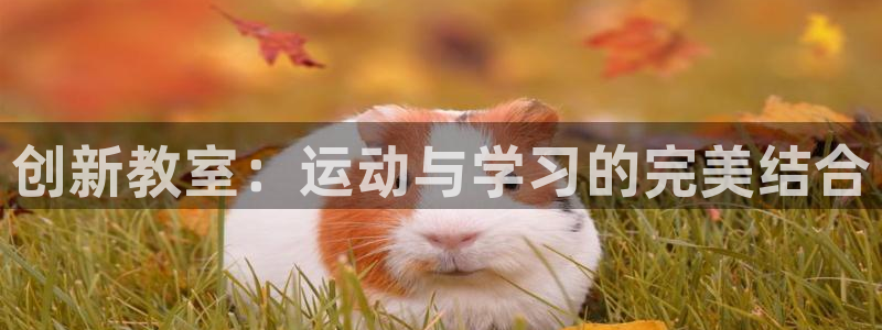 凯捷体育