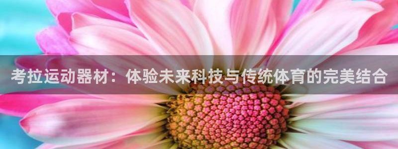 凯捷体育平台注册要钱吗是真的吗：考拉运动器材：体验未来科技与
