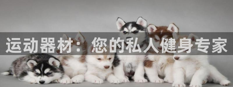 凯捷体育开户：运动器材：您的私人健身专家