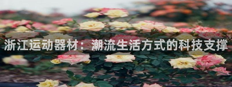 凯捷体育招商电话地址是多少