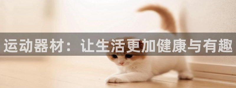 凯捷体育新能源：运动器材：让生活更加健康与有趣