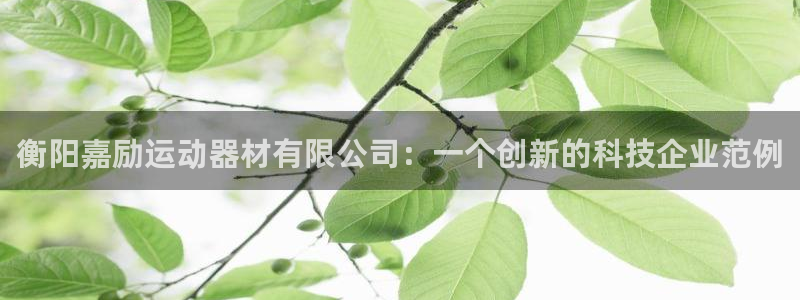 凯捷体育招商:衡阳嘉励运动器材有限公司:一个创新的科技企业范