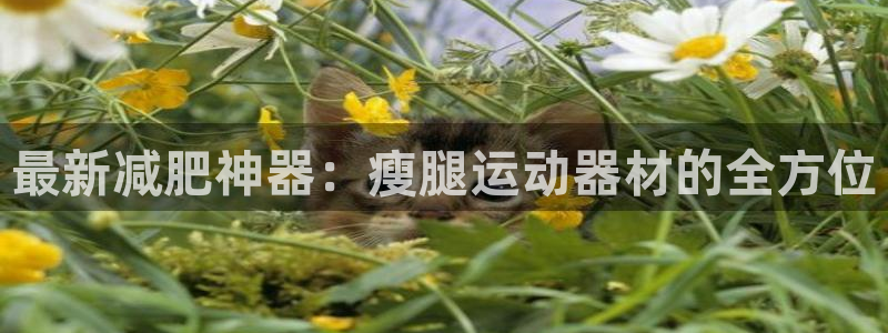 凯捷体育是干嘛的公司：最新减肥神器：瘦腿运动器材的全