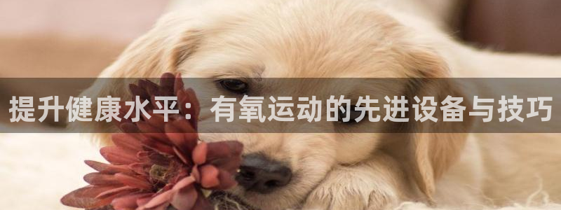 凯捷体育招商电话号码是多少啊:提升健康水平:有氧运动的先进设