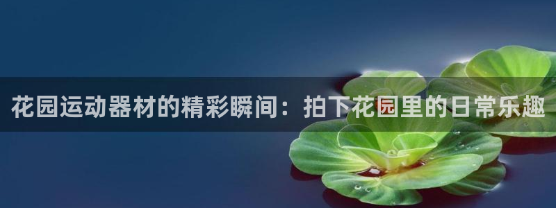 凯捷体育平台是正规平台吗：花园运动器材的精彩瞬间：拍