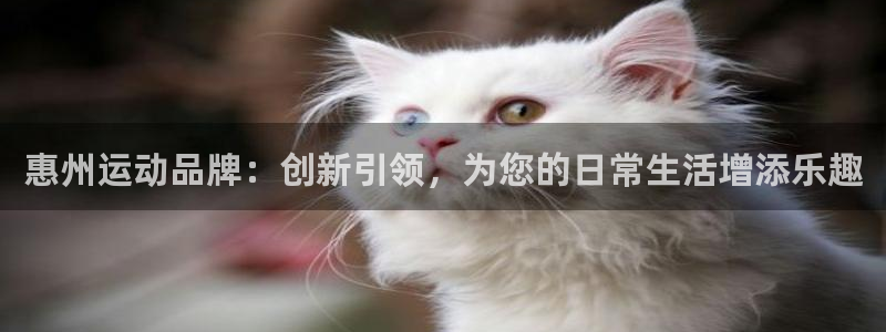 凯捷体育官方客服电话：惠州运动品牌：创新引领，为您的日常生活