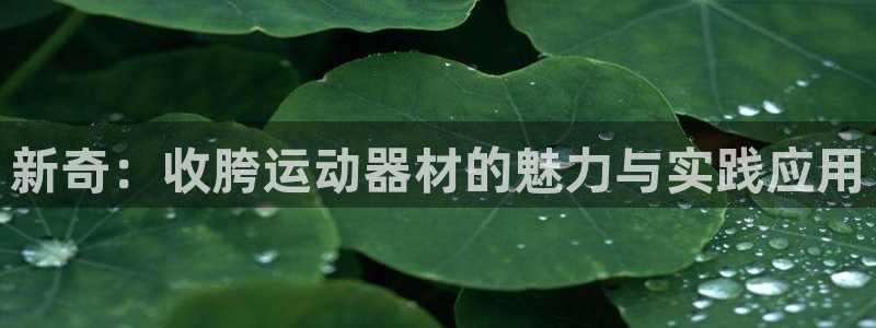 凯捷体育官方：新奇：收胯运动器材的魅力与实践应用