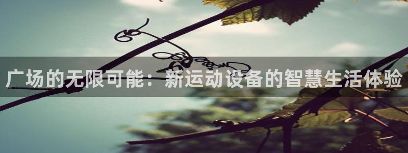 海南凯捷体育发展怎么样：广场的无限可能：新运动设备的