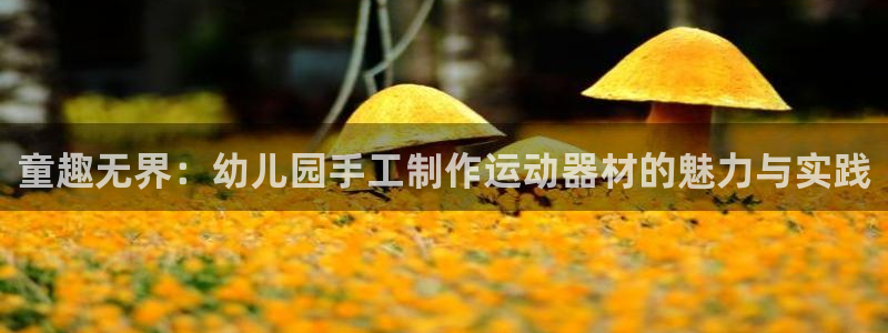 凯捷体育招商电话号码查询是多少：童趣无界：幼儿园手工