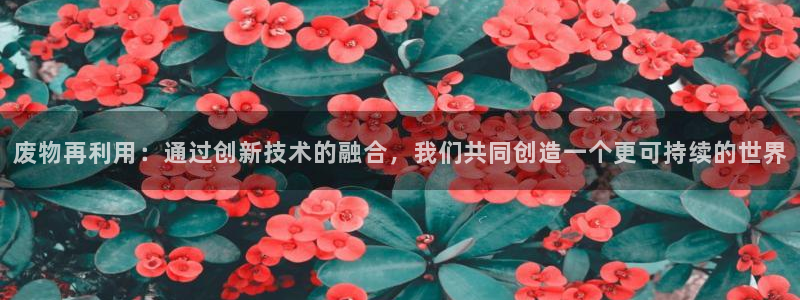 凯捷体育平台假的吗是真的吗吗：废物再利用：通过创新技