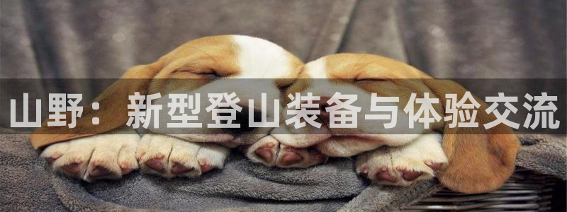 凯捷体育娱乐40996：山野：新型登山装备与体验交流