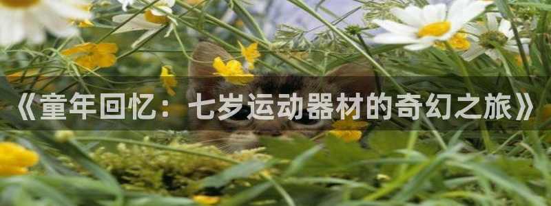 凯捷体育娱乐代理怎么样：《童年回忆：七岁运动器材的奇幻之旅》