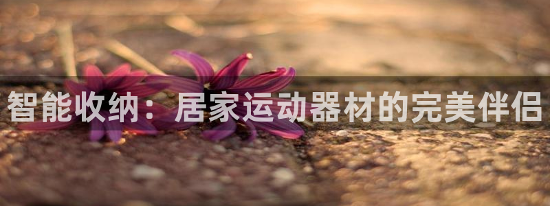 凯捷体育娱乐代理怎么样：智能收纳：居家运动器材的完美伴侣
