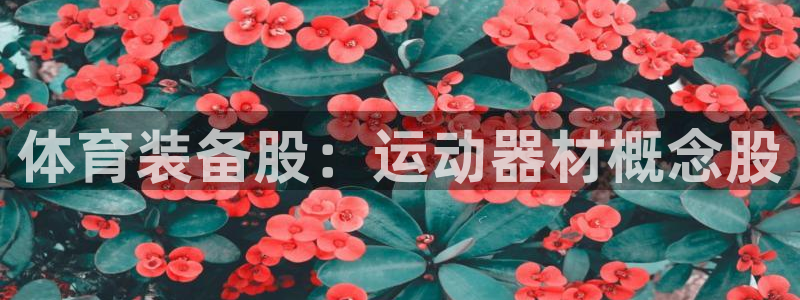 凯捷体育集团：体育装备股：运动器材概念股