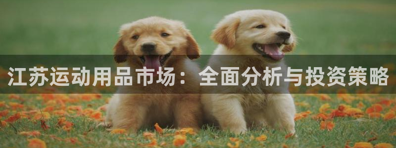 凯捷体育集团官网首页