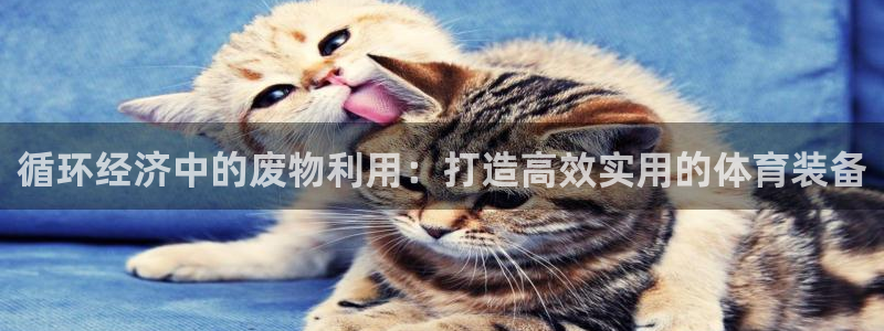 凯捷体育联系电话：循环经济中的废物利用：打造高效实用