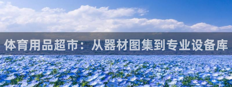 凯捷体育是干嘛的公司：体育用品超市：从器材图集到专业