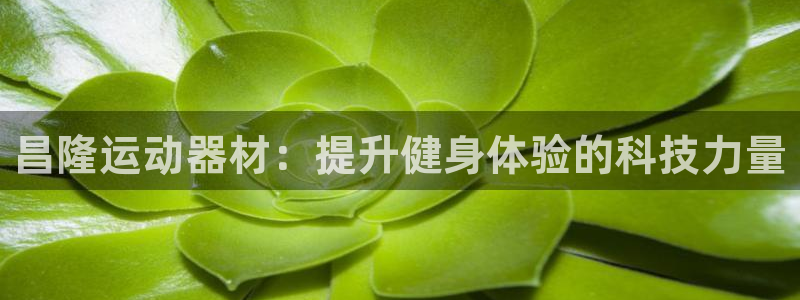 凯捷体育招商电话：昌隆运动器材：提升健身体验的科技力
