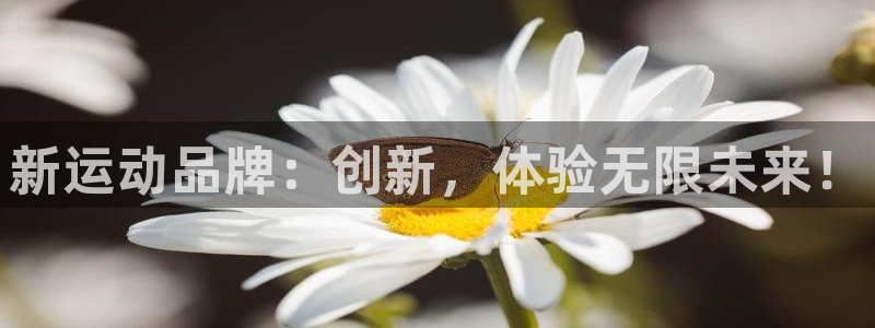 凯捷体育神州：新运动品牌：创新，体验无限未来！