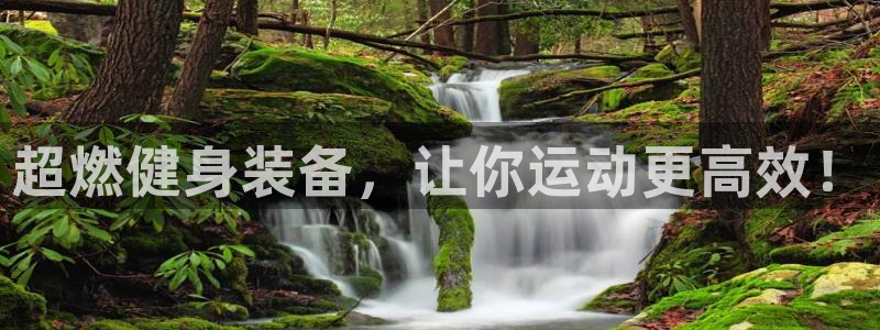 凯捷体育集团：超燃健身装备，让你运动更高效！