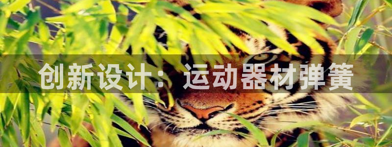 凯捷体育集团logo：创新设计：运动器材弹簧