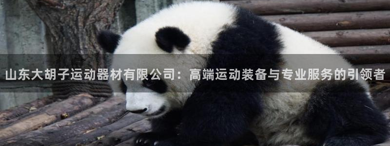 凯捷体育平台是正规平台吗安全吗：山东大胡子运动器材有限公司：