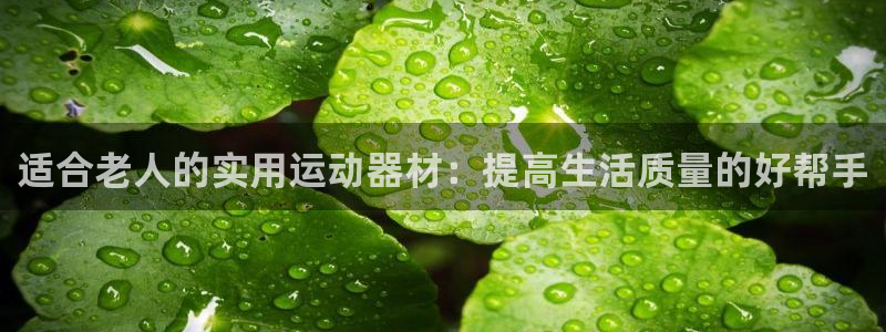 凯捷体育招商电话地址查询：适合老人的实用运动器材：提高生活质